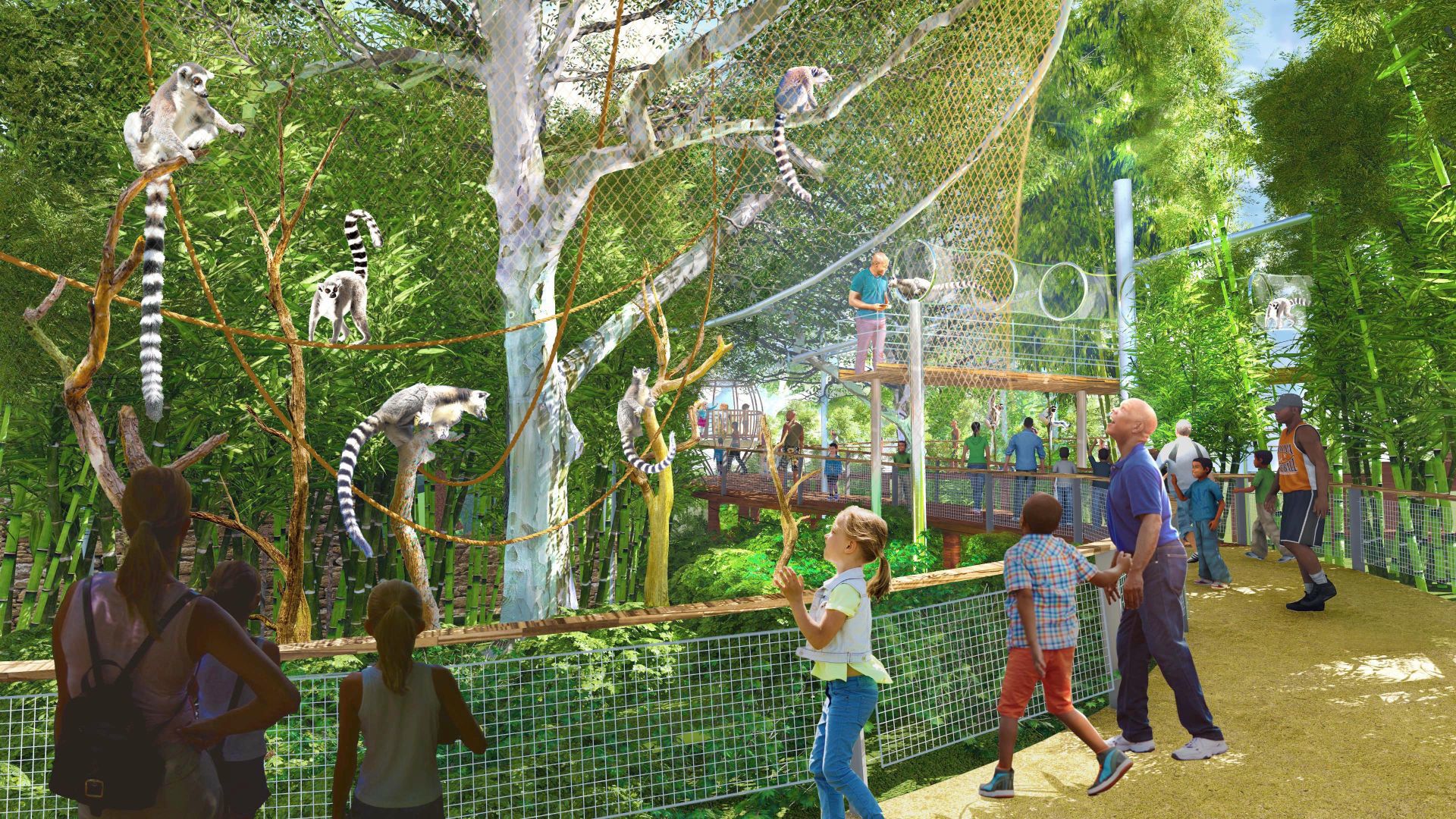Primate Canopy Trails